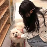 秦皇岛房地产网截图